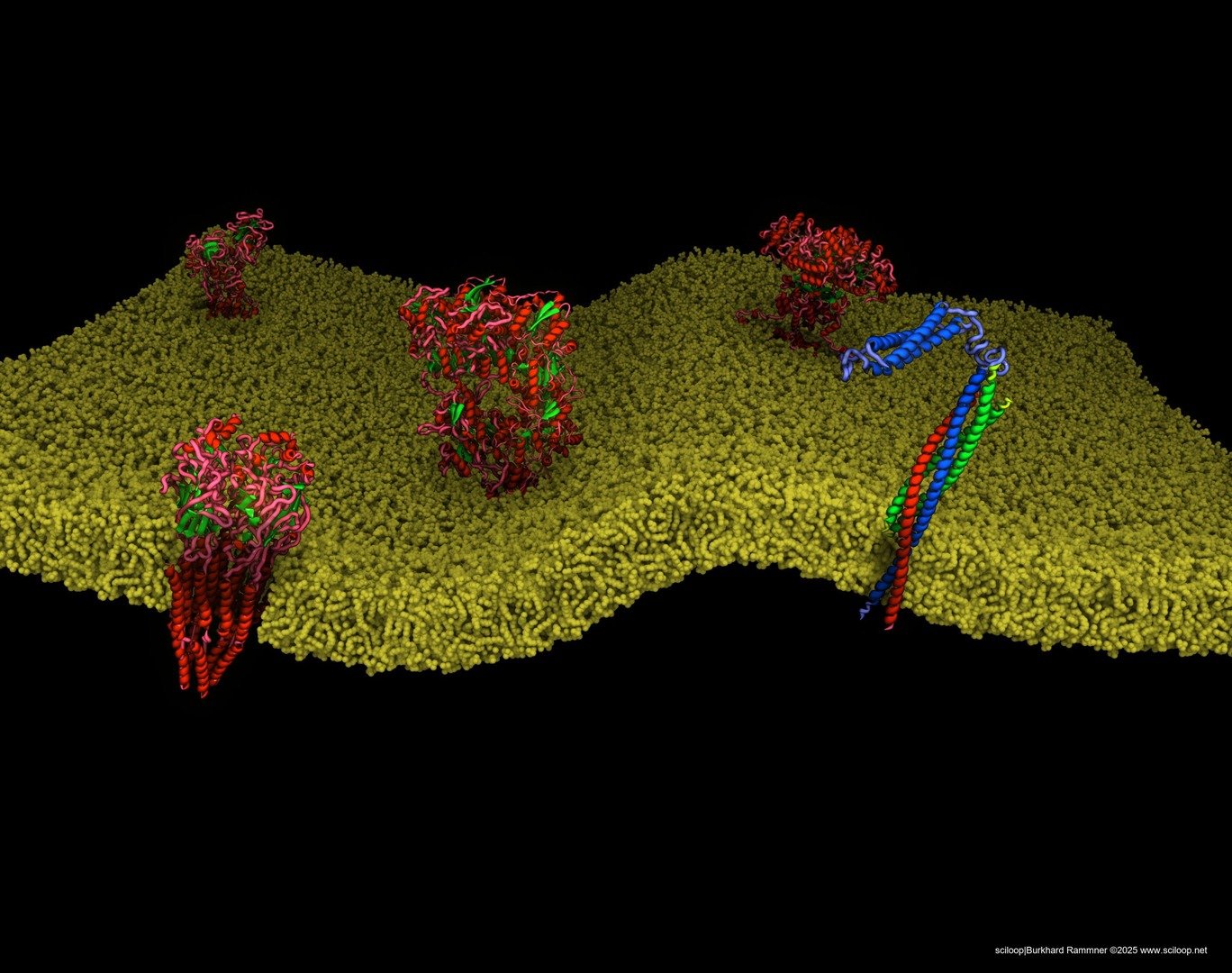 Background Proteins