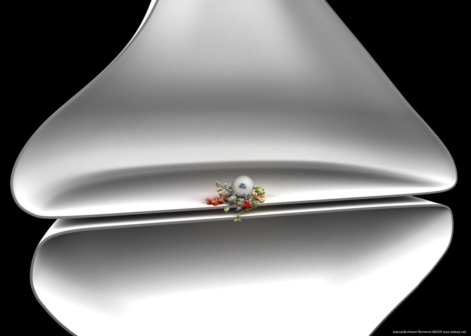 Cav Nanoenvironment Distant View